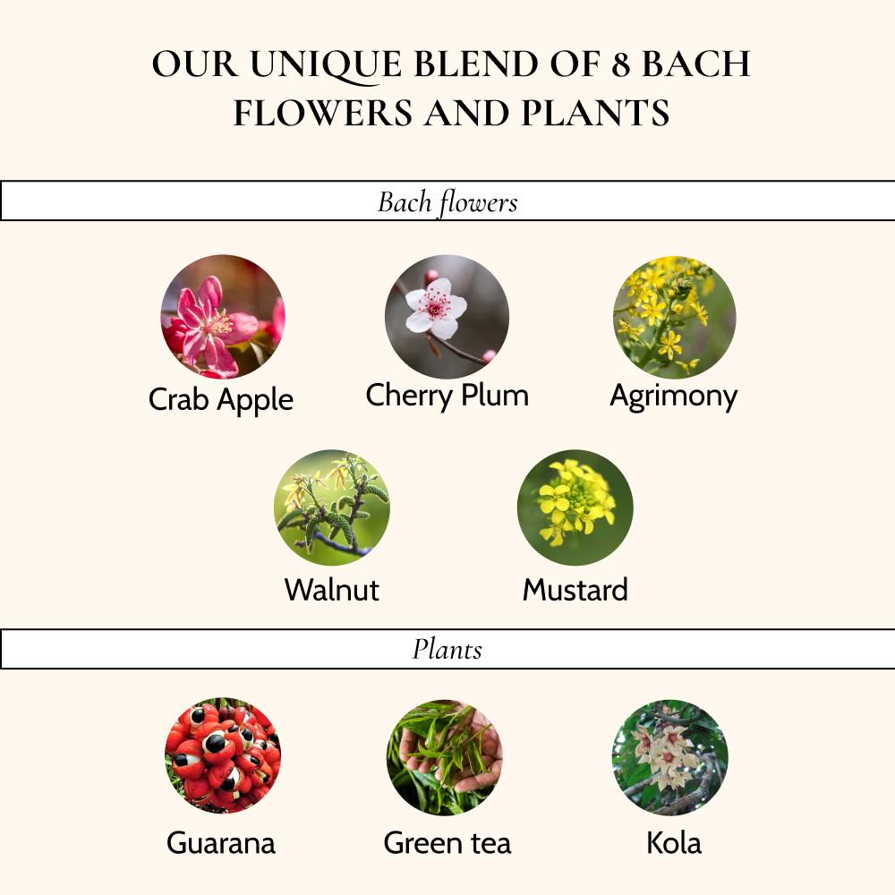 Weight-Loss Bach Flower Complex