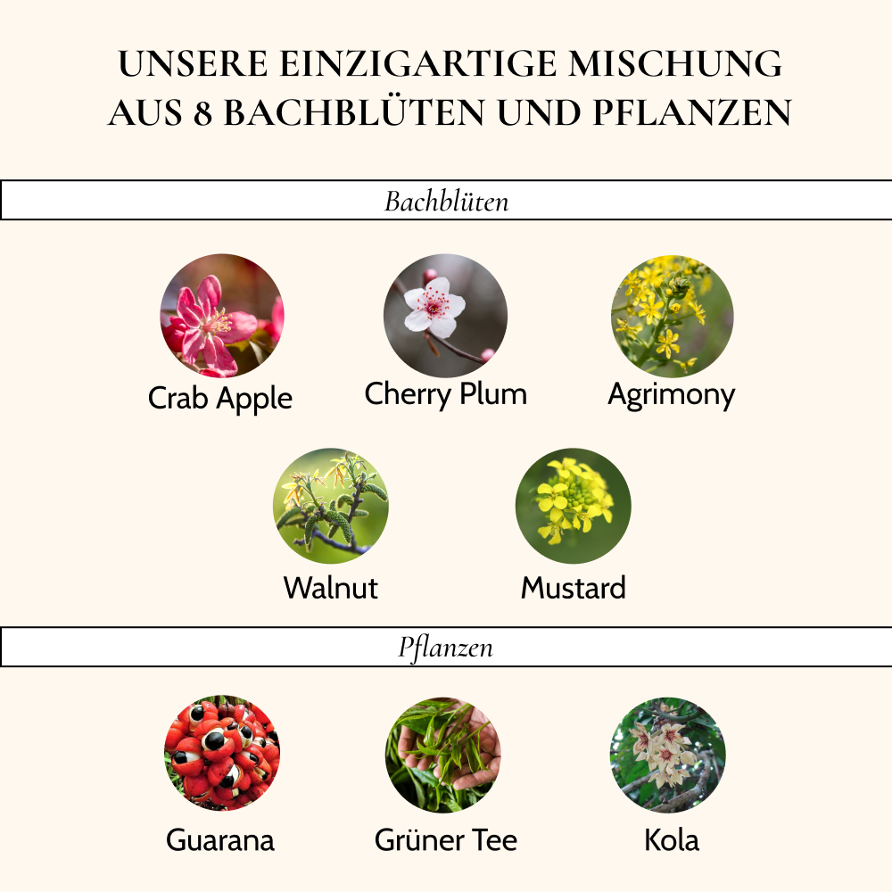 Bachblüten Schlankheitskomplex